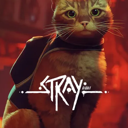 Stray cover art