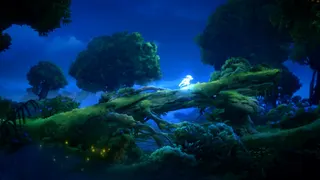 Ori and the Will of the Wisps screenshot 6