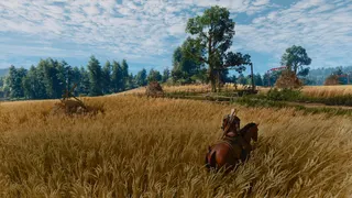 The Witcher 3: Wild Hunt — Remastered screenshot 17