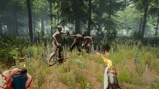 The Forest screenshot 16