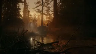 Alan Wake 2 screenshot 9