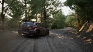 Assetto Corsa Rally screenshot 4