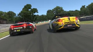 iRacing screenshot 10